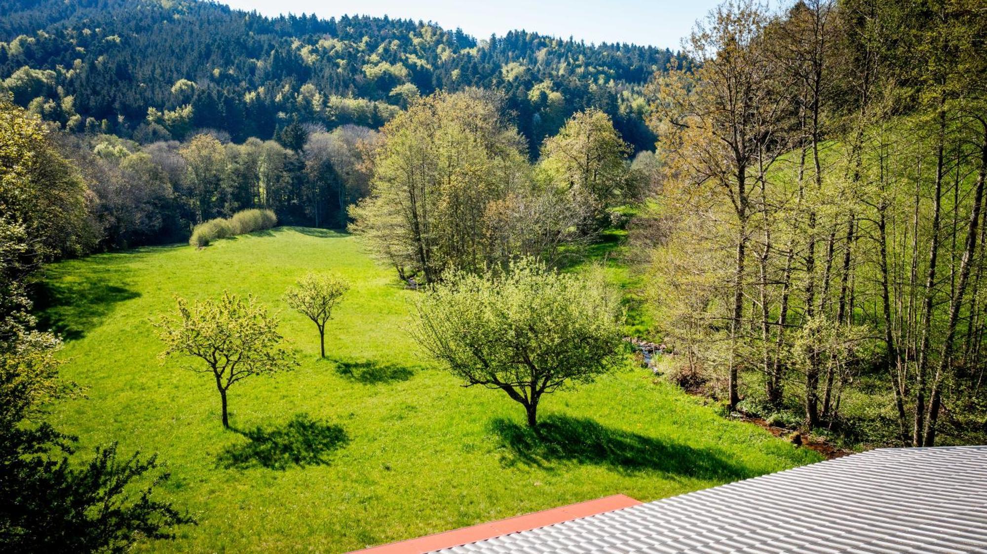 Le Gite De Bri Orbey Exterior foto
